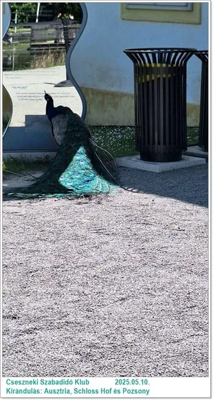 2025.05.10. Kirándulás: Ausztria, Schloss Hof és Pozsony / Képeket a tagok készítették