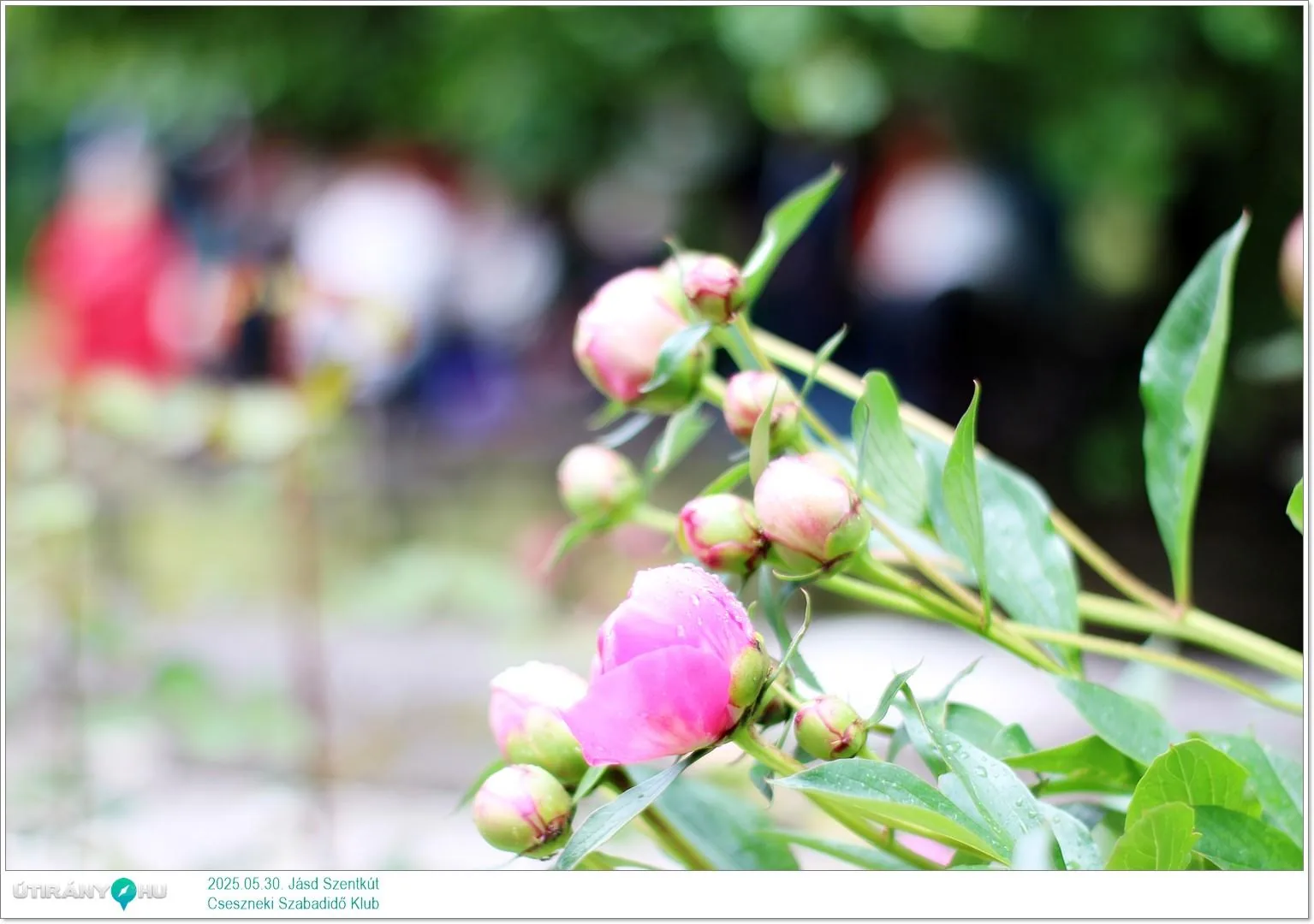 2025.05.30. Jásd, Szentkút 