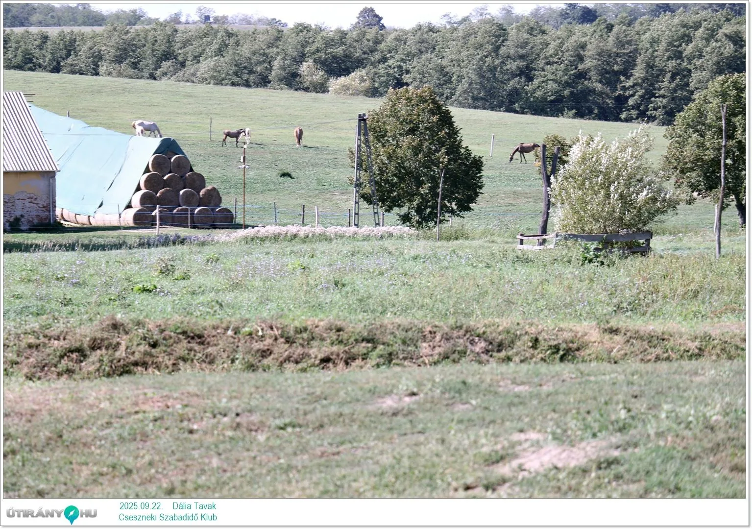 2025.09.22. Dália Tavak