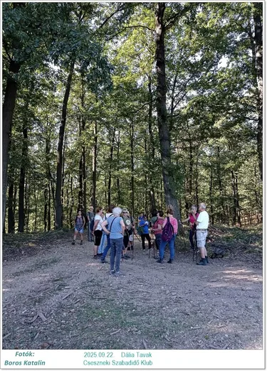 2025.09.22. Dália Tavak