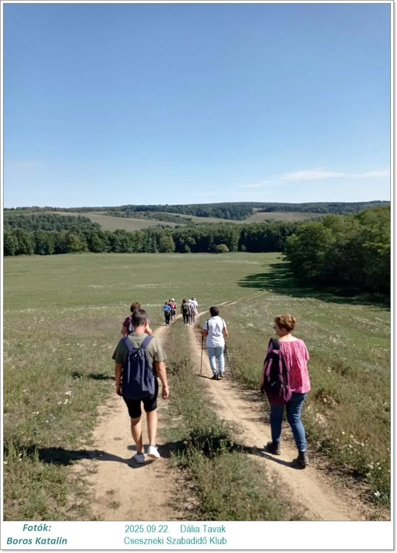 2025.09.22. Dália Tavak