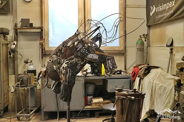 Fotók: ZIRC ÉS A BAKONY / Kaufmann Ferenc