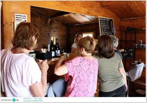 2025.09.22. Dália Tavak