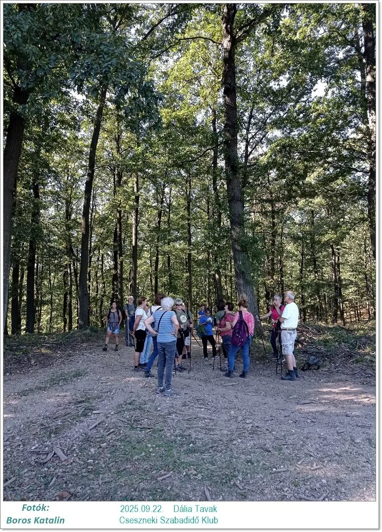 2025.09.22. Dália Tavak