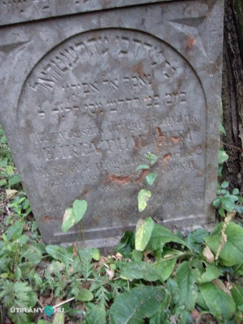 Fotók: 2015 Hegedűs László