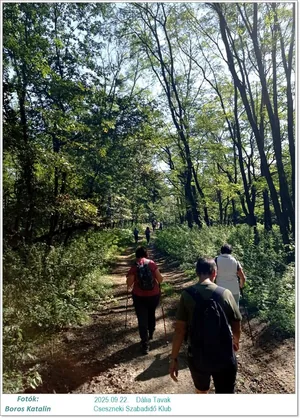 2025.09.22. Dália Tavak