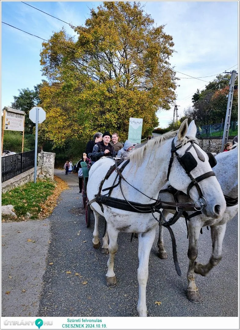Fotók: Útirány.hu