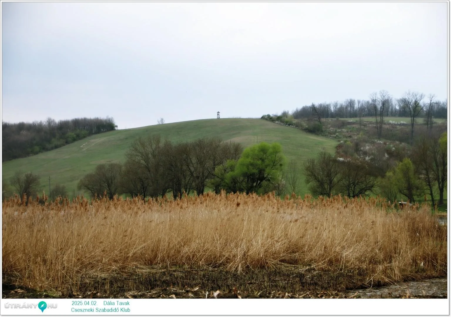 2025.04.02. Dália Tavak