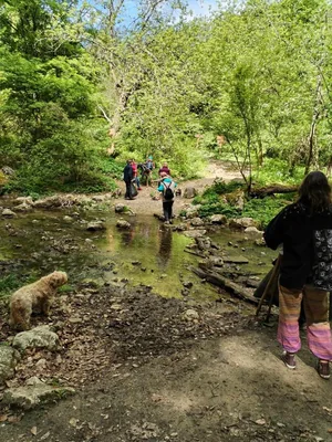 Készítés 2024.04.20.