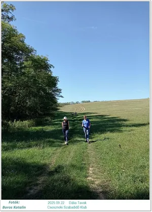 2025.09.22. Dália Tavak