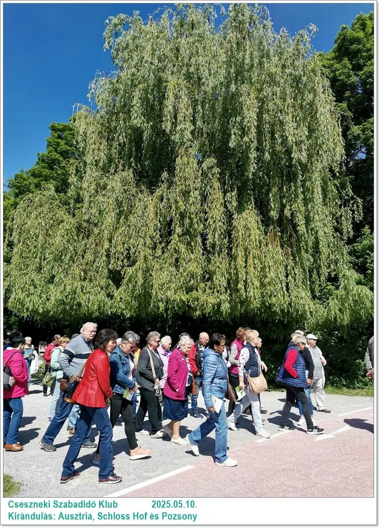 2025.05.10. Kirándulás: Ausztria, Schloss Hof és Pozsony / Képeket a tagok készítették