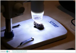 2025.09.15. Bakony Csillagászati Egyesület előadása