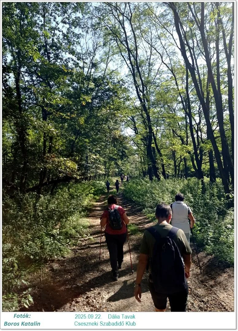 2025.09.22. Dália Tavak