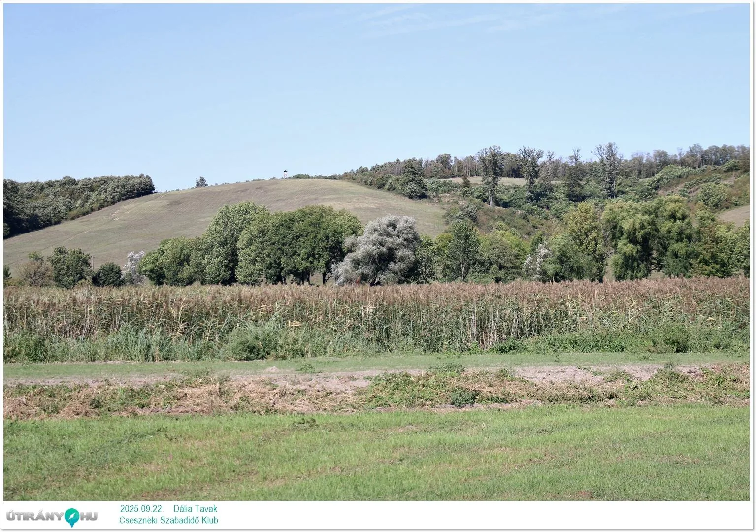 2025.09.22. Dália Tavak