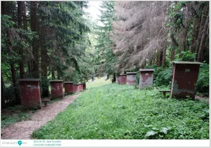 2025.05.30. Jásd, Szentkút 