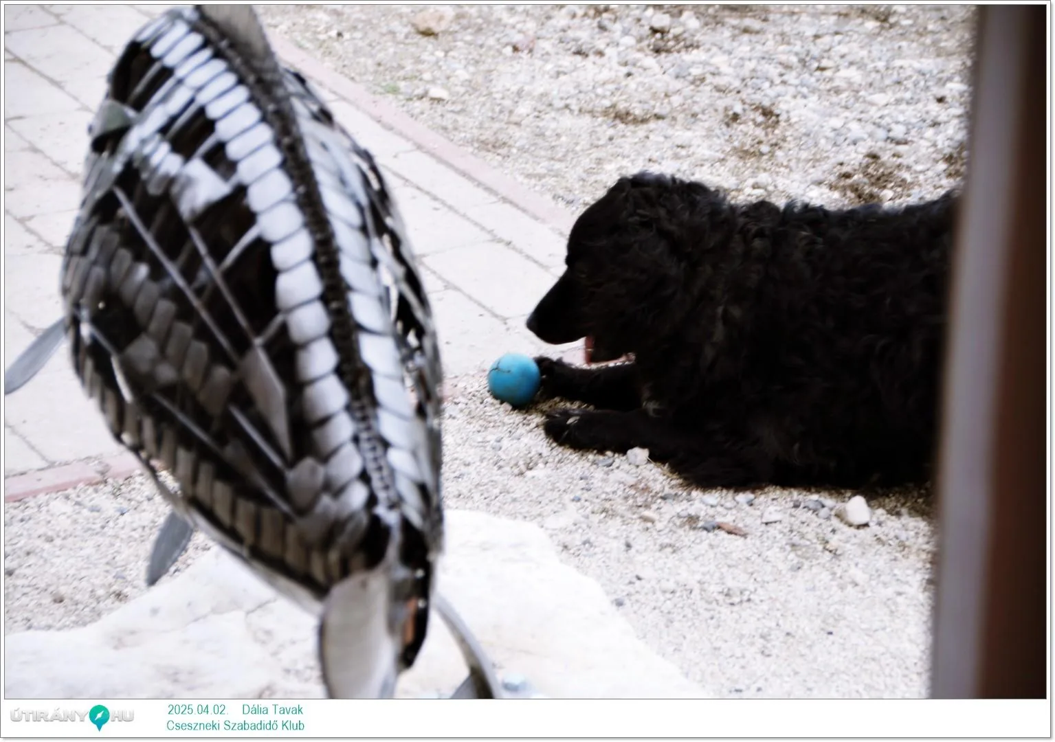 2025.04.02. Dália Tavak