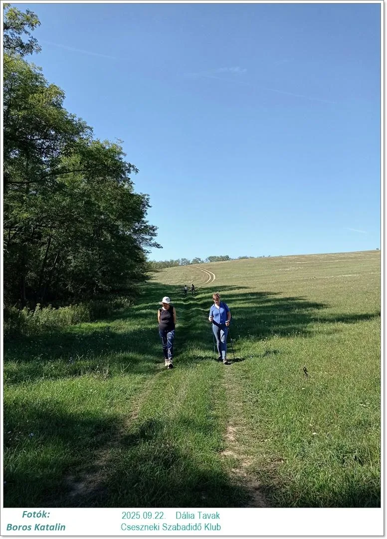 2025.09.22. Dália Tavak