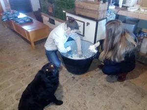 Fotók: Kisbükk major