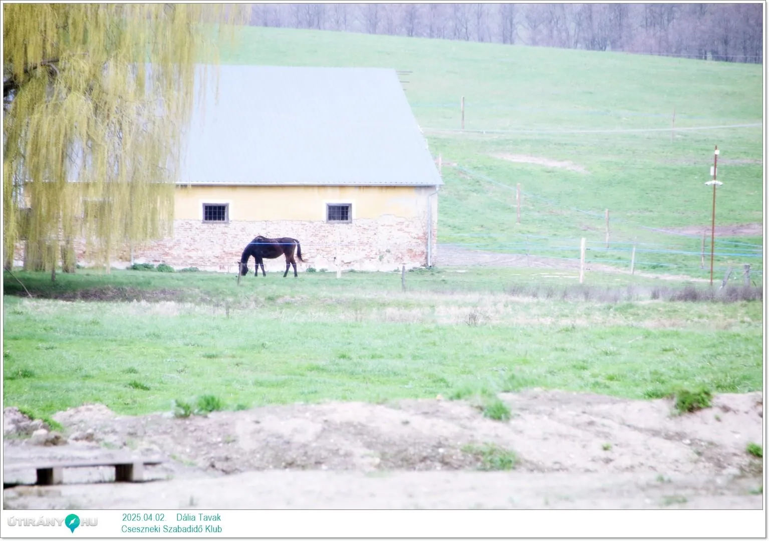 2025.04.02. Dália Tavak