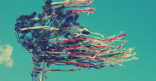 'MÁJUSFA ÁLLÍTÁS' cikk borítóképe