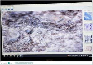 2025.09.15. Bakony Csillagászati Egyesület előadása