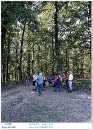 2025.09.22. Dália Tavak