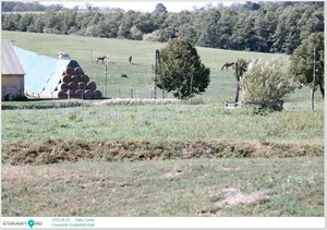 2025.09.22. Dália Tavak