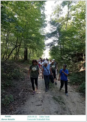 2025.09.22. Dália Tavak