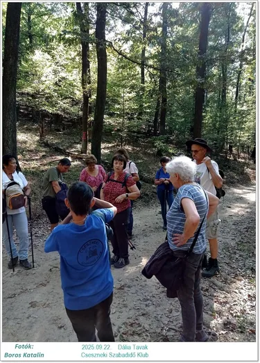 2025.09.22. Dália Tavak