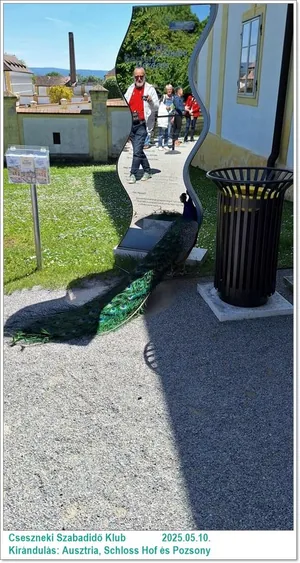 2025.05.10. Kirándulás: Ausztria, Schloss Hof és Pozsony / Képeket a tagok készítették