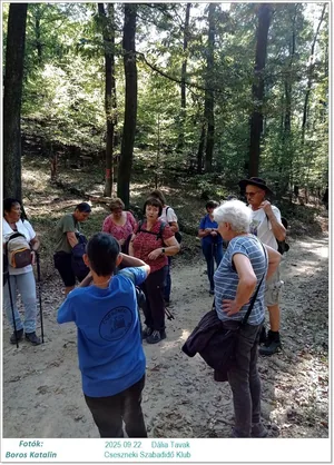 2025.09.22. Dália Tavak