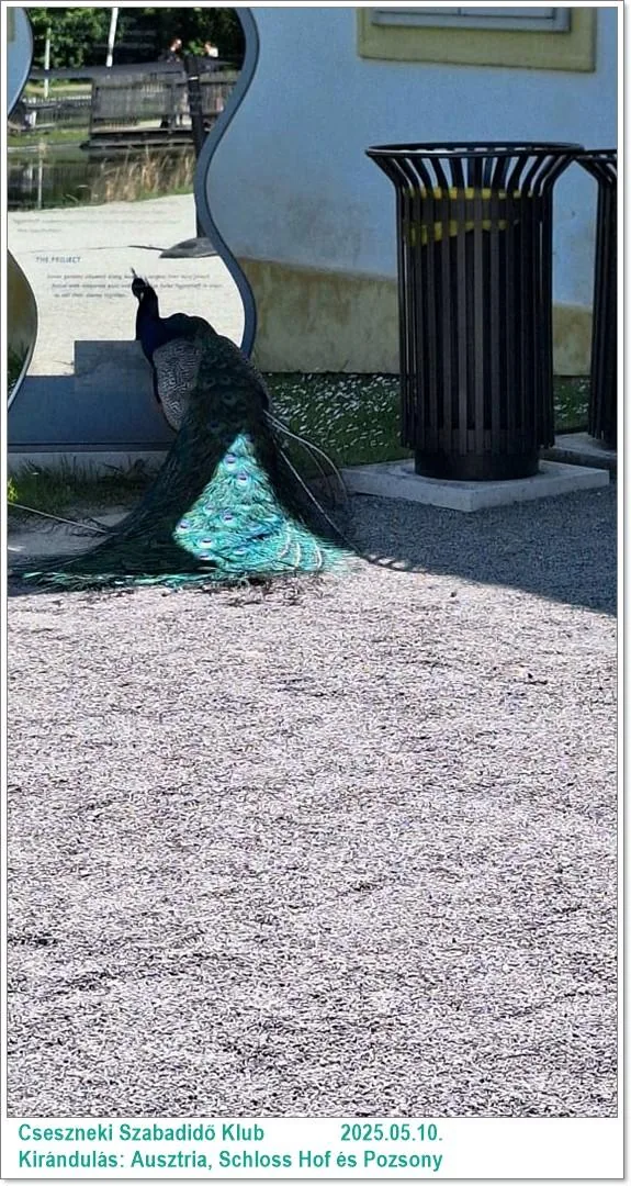 2025.05.10. Kirándulás: Ausztria, Schloss Hof és Pozsony / Képeket a tagok készítették