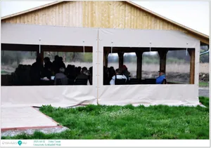 2025.04.02. Dália Tavak