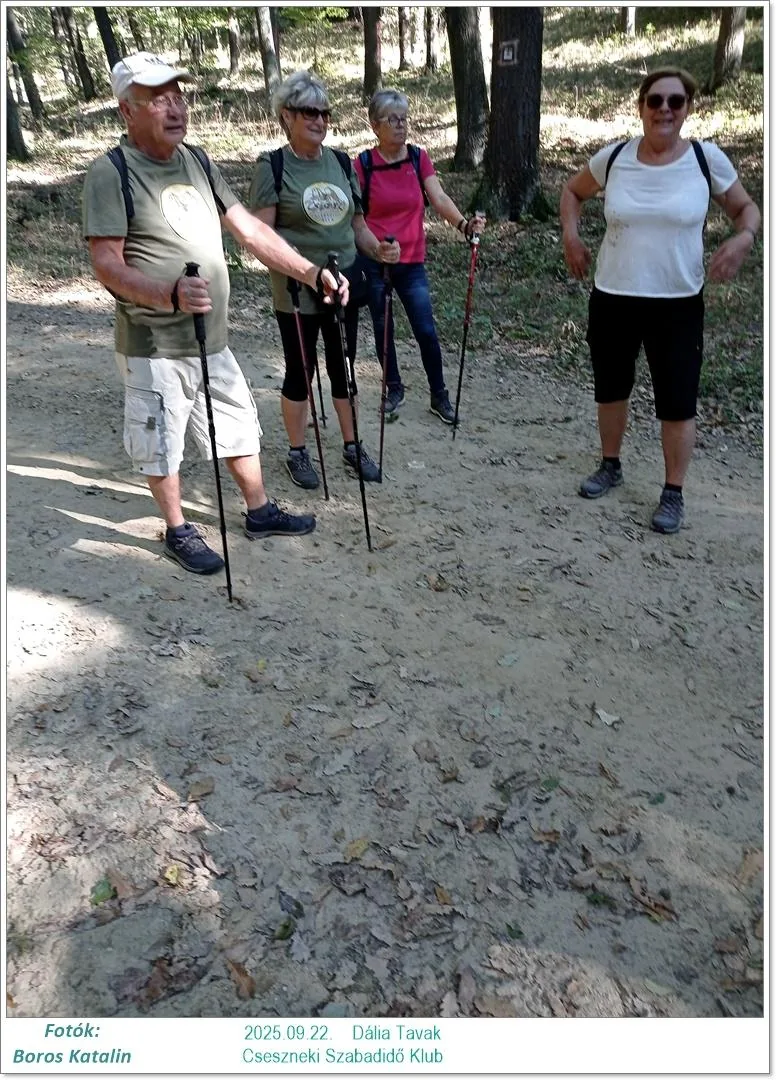 2025.09.22. Dália Tavak