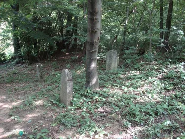 Fotók: 2015 Hegedűs László