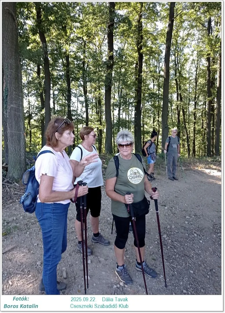 2025.09.22. Dália Tavak