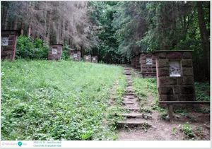 2025.05.30. Jásd, Szentkút 