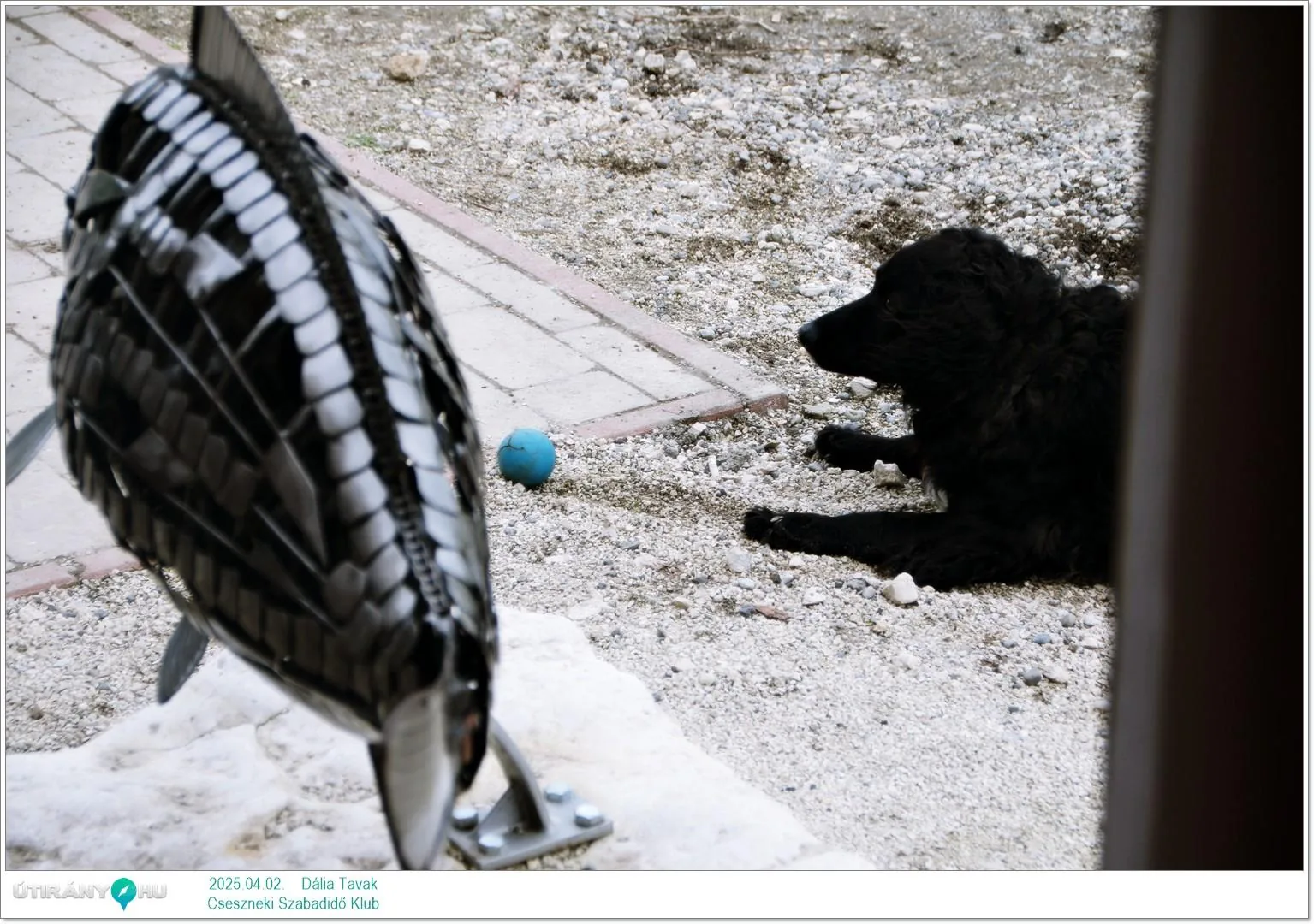 2025.04.02. Dália Tavak