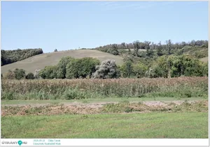 2025.09.22. Dália Tavak