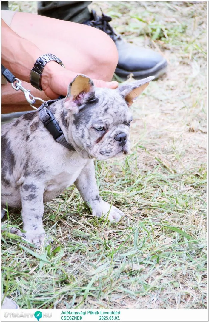 Képek: Útirány.hu