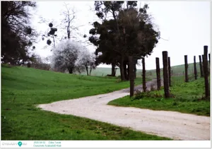 2025.04.02. Dália Tavak