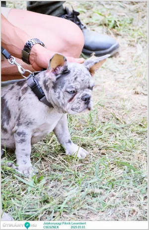 Képek: Útirány.hu